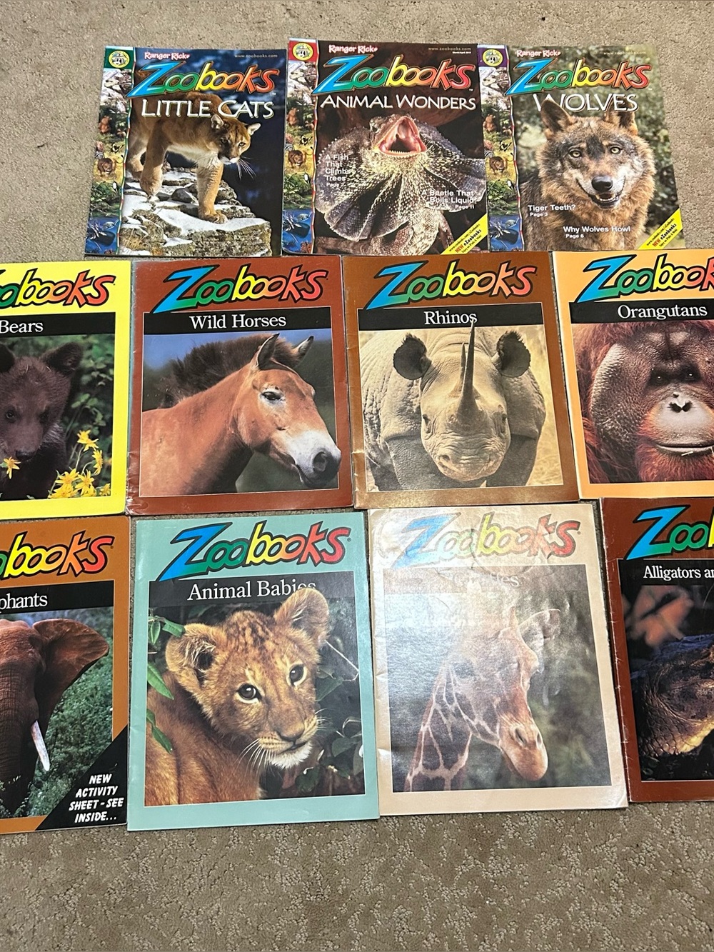 Zoobooks Magazine Lot Of 18 Animals Insects Cats Bears Horses Night Animals